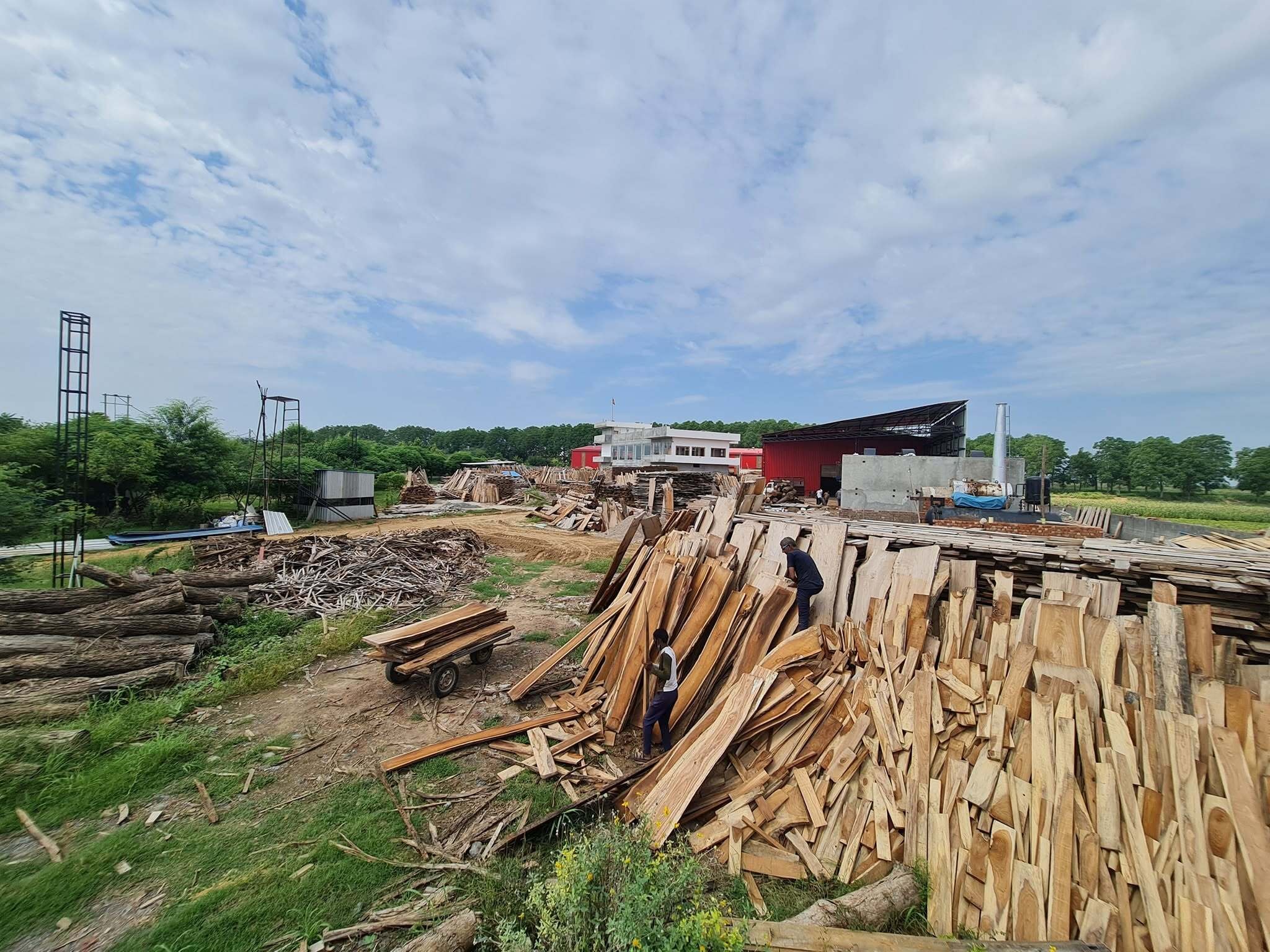 Seasoning Yard